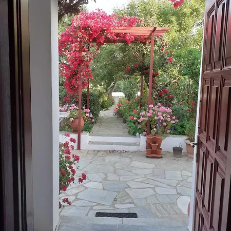 Kipos * Apollonia (Sifnos)