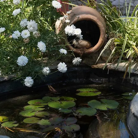 Kipos Lejlighed Apollonía