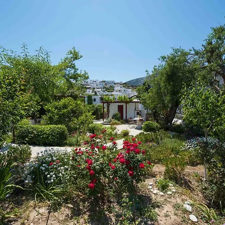 Kipos Lejlighed Apollonía