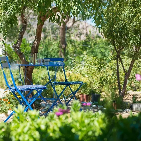 Kipos Lejlighed Apollonía